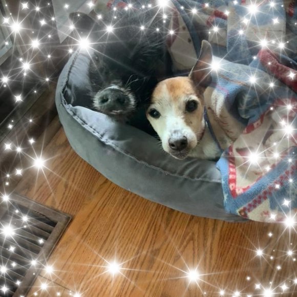 sherry_crawford